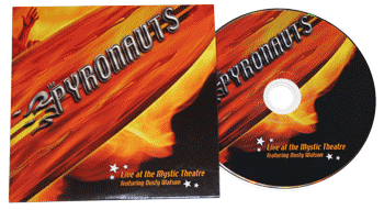dvd-r duplication inserted into single disc sleeve