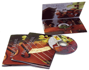 mini cd dvd business card wallet mailer